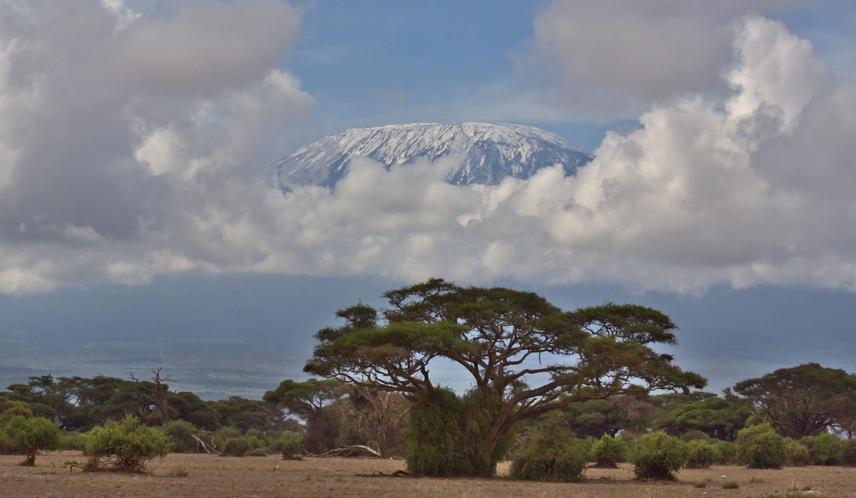 Kilimanjaro landscape