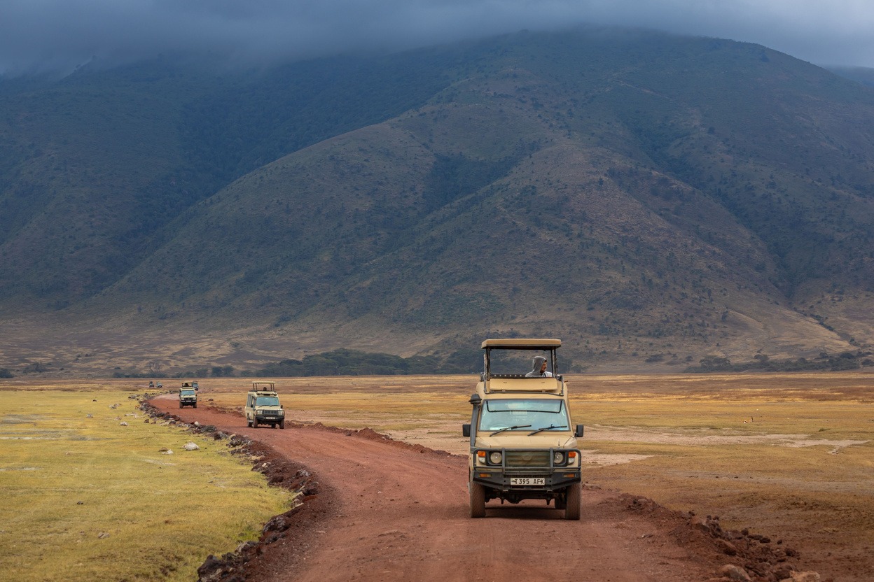 Safari vehicle